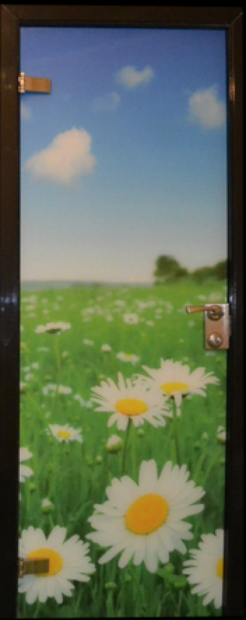 Цельностеклянная дверь с фотопечатью - Фабрика дверей «Арк-Самара»