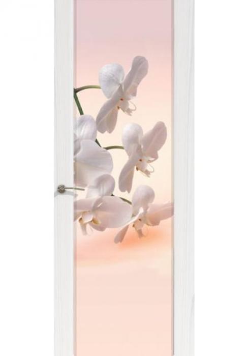 Дверь межкомнатная Шторм 3 Орхидея - Фабрика дверей «Океан Дверей»