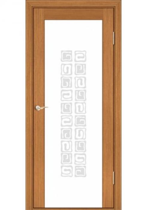 Дверь межкомнатная Тип 301, Дверь межкомнатная Тип 301