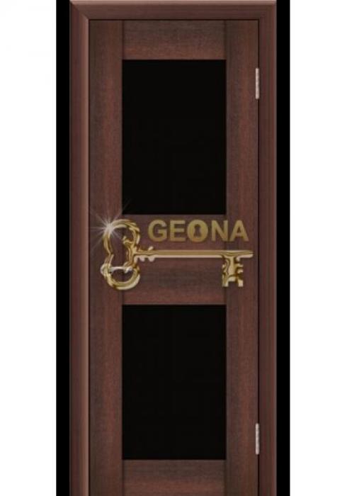 Geona, Межкомнатная дверь Ремьеро 7