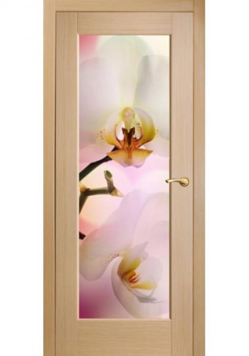 Межкомнатные двери фотопечать Орхидеи розовые - Фабрика дверей «Оникс»