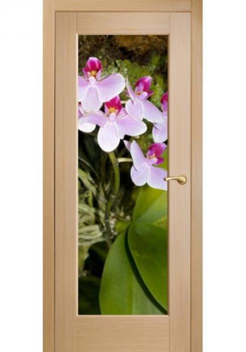 Оникс, Межкомнатные двери фотопечать Орхидеи розовые