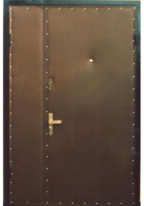 Входная дверь Зевс Ekonom-05 - Фабрика дверей «Зевс»